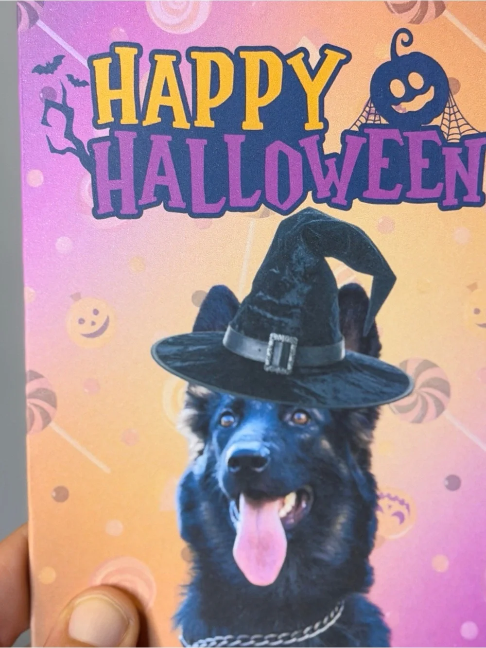 Happy Halloween German Shepherd Greeting Card Set of 15 Blank Inside 4x6